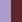 Paisley Purple/Port Royal
