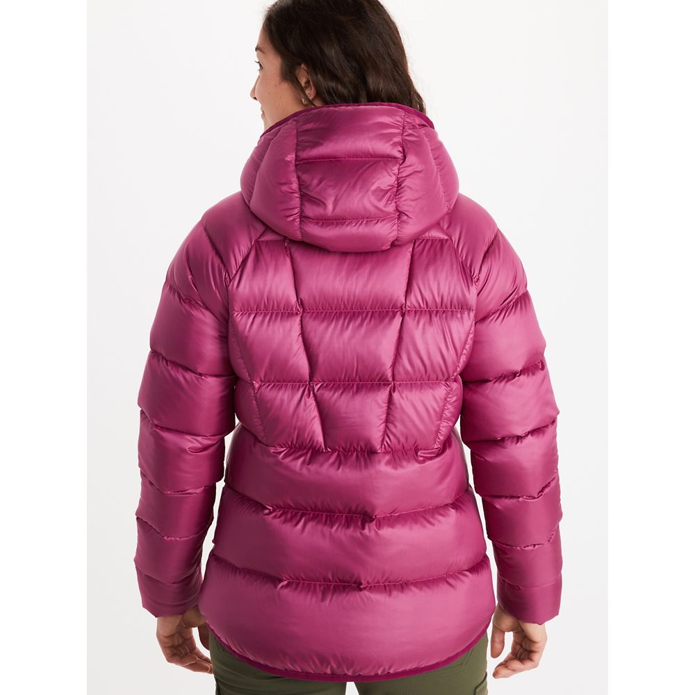 Buy Women's Hype Down Hoody for USD 300.00 | Marmot