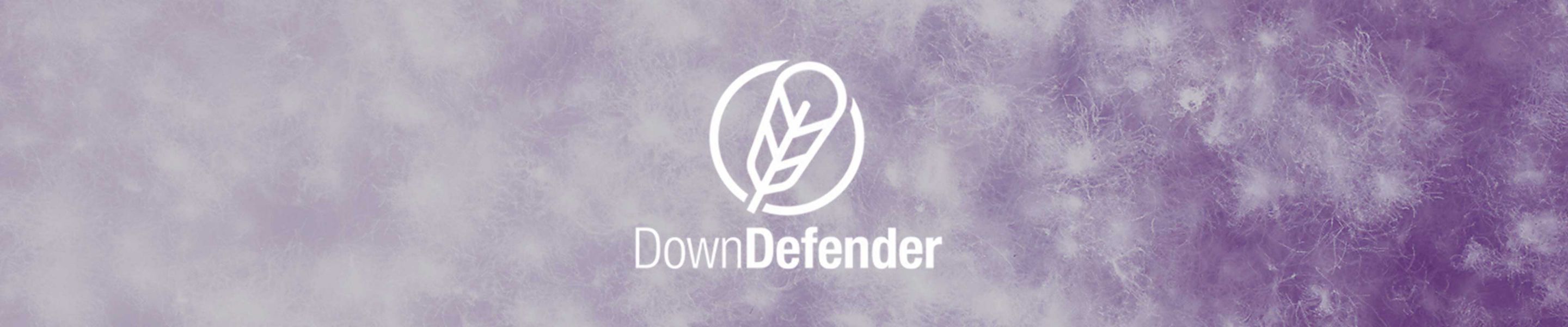 Down Defender logo